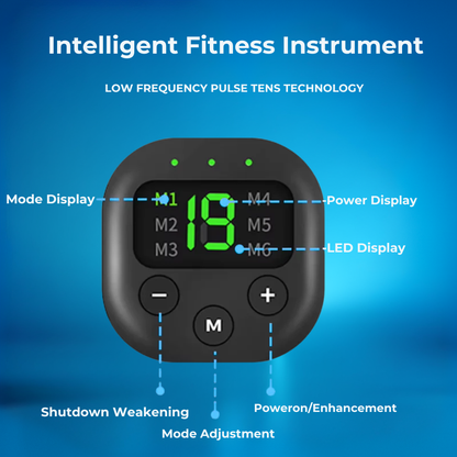 CorePulse™ Pad | EMS Abs/Leg Trainer – Quvro® Official