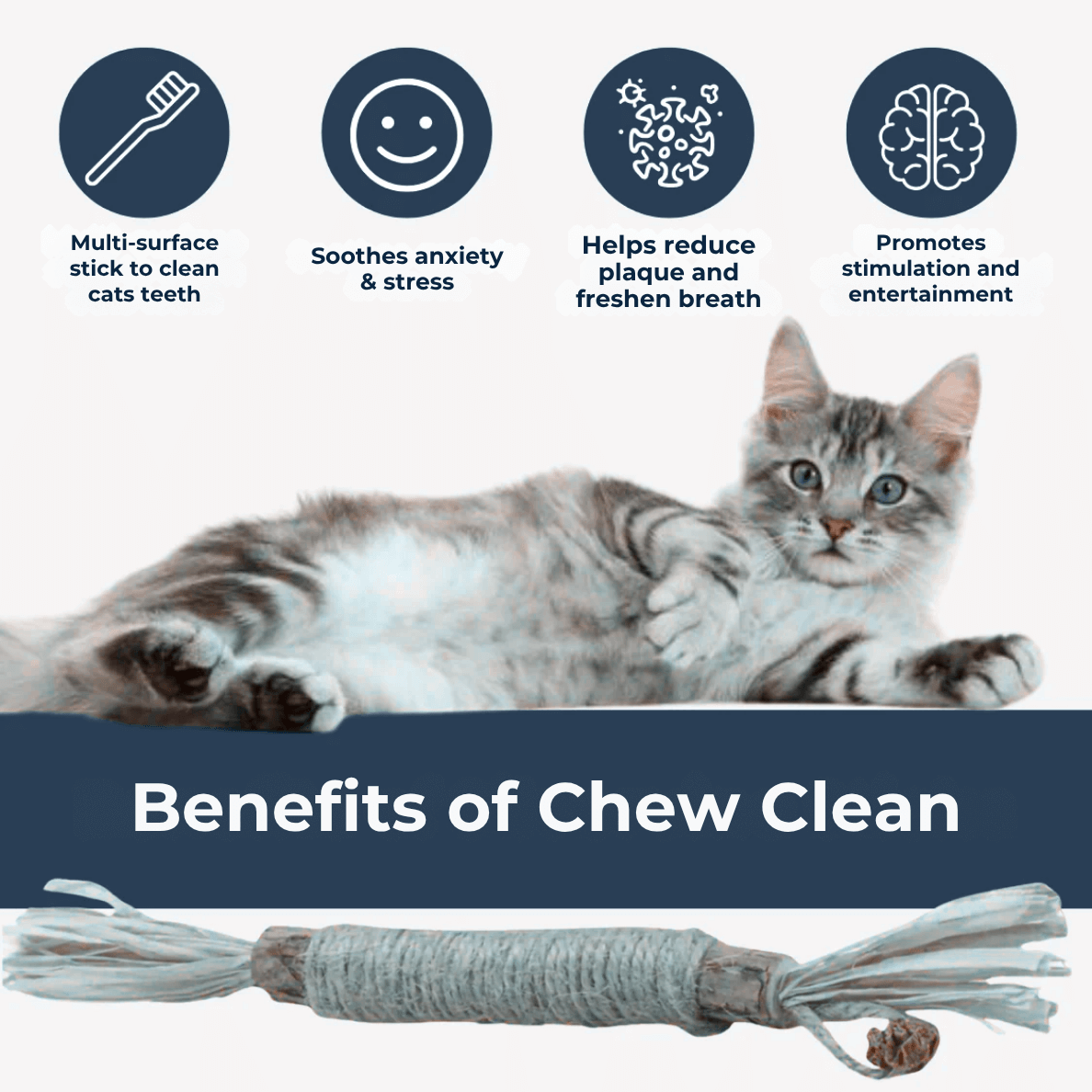 Chew Clean
