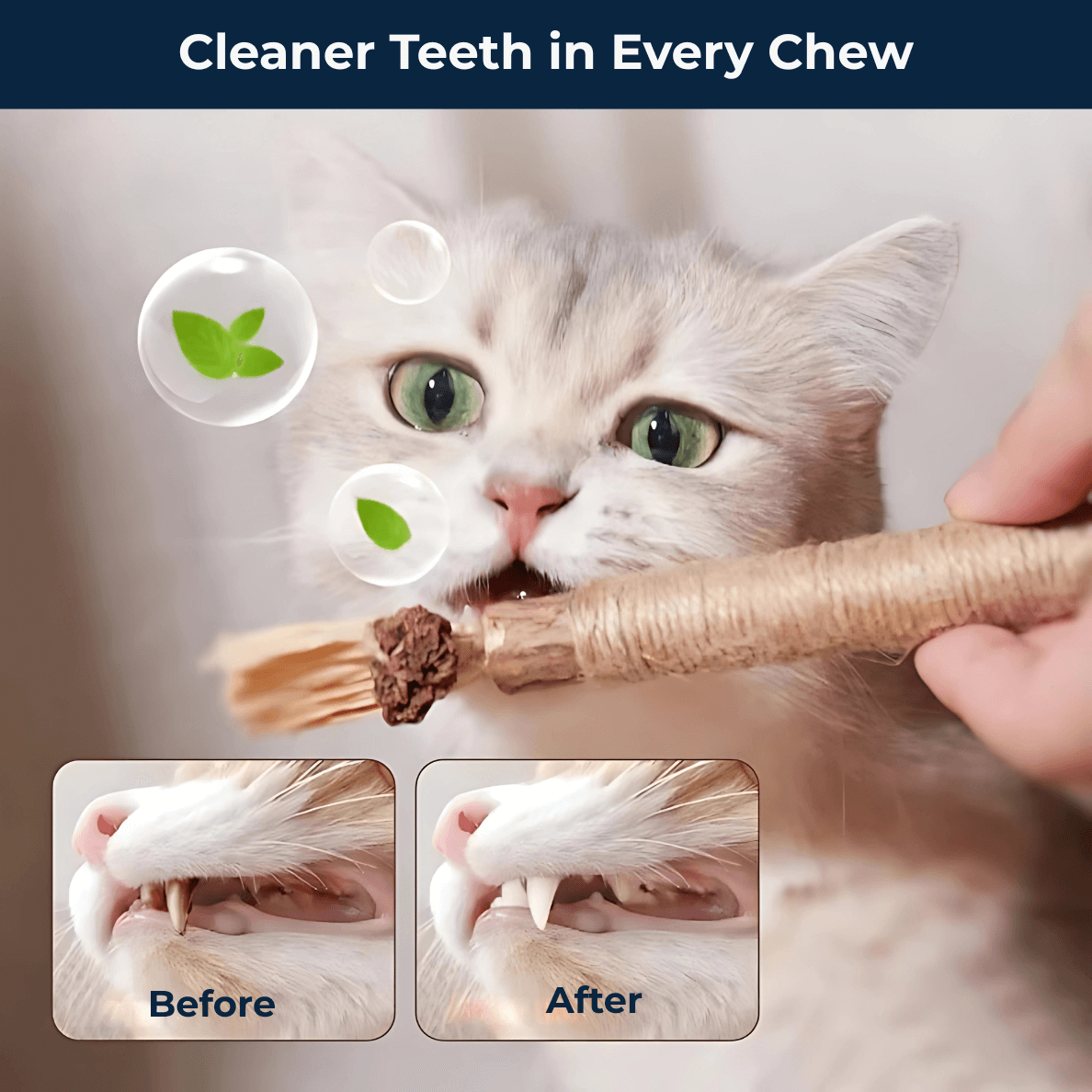 Chew Clean