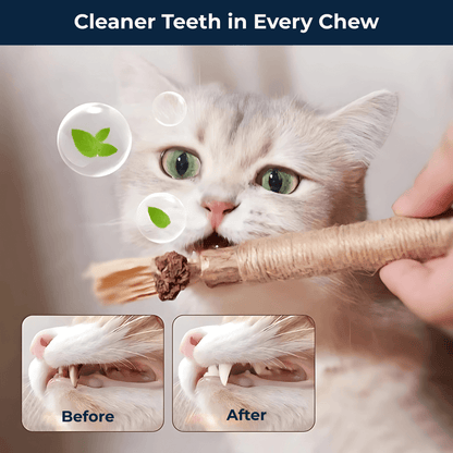 Chew Clean